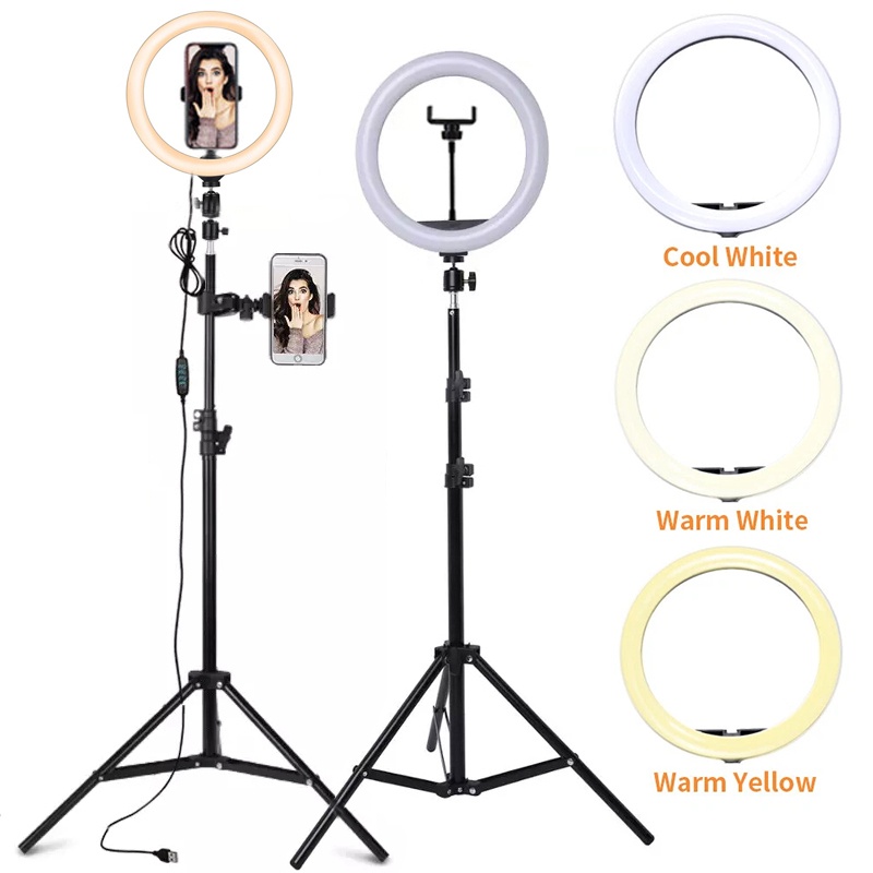 Photography Lighting Wand - 6/10/12 Zoll LED-Selfie-Ringlicht, dimmbar, für Fotografie,