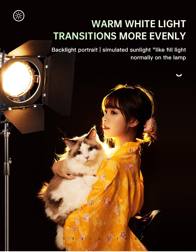 Beiyang 2000W Spotlight Haarli – Photography Lighting For Indoor Bewertung und Preis