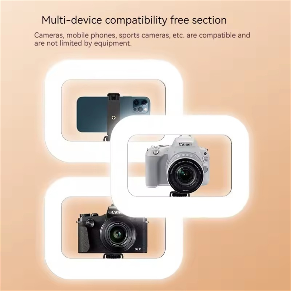 FANGTUOSI handgehaltenes Fülll – Photography Lighting For Indoor Bewertung und Preis