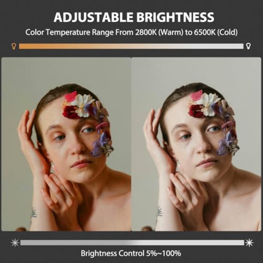 60W COB LED-Videoleuchte, trag – Photography Lighting Handheld Bewertung und Preis