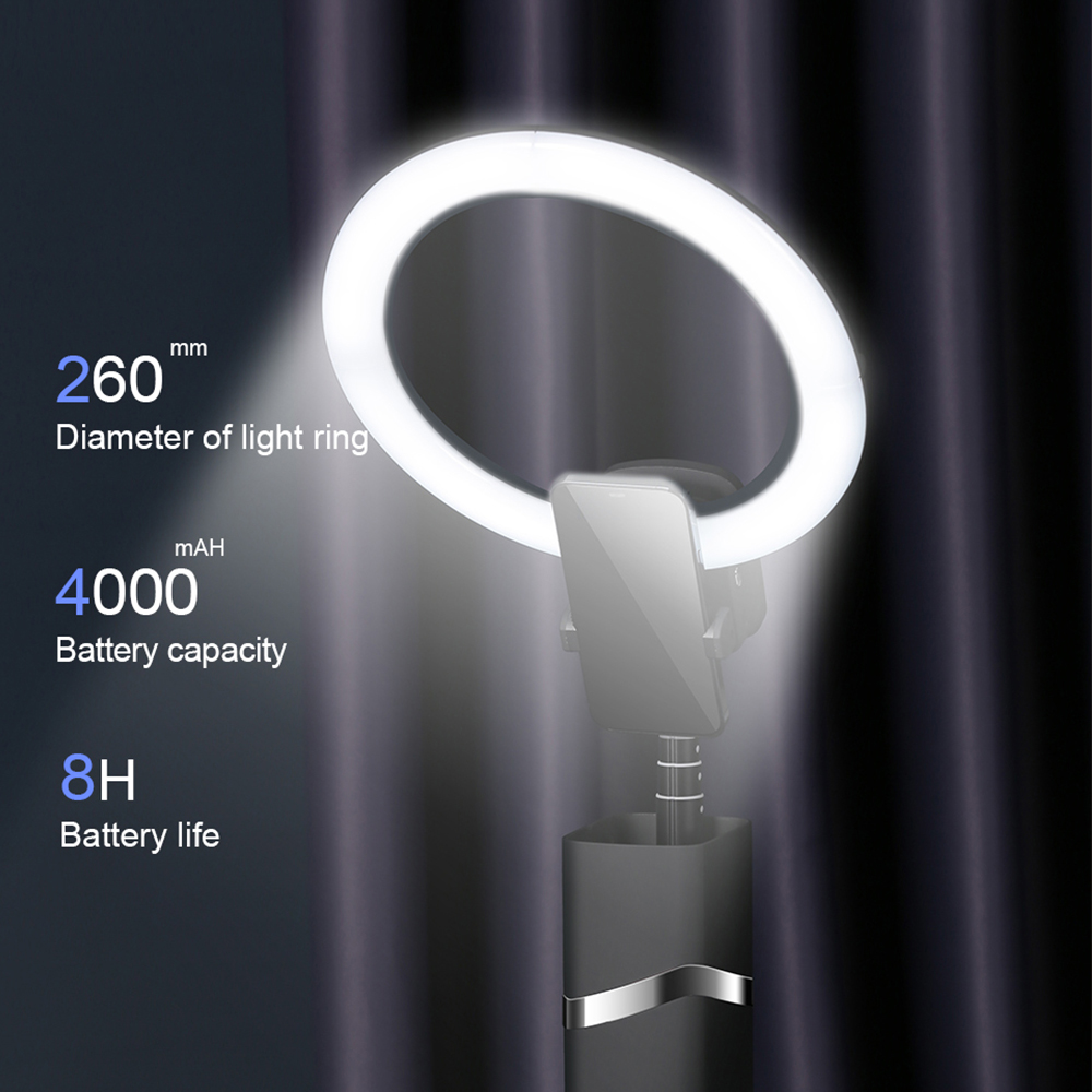 Live-Schönheits licht im Freie – Photography Lighting For Indoor Bewertung und Preis