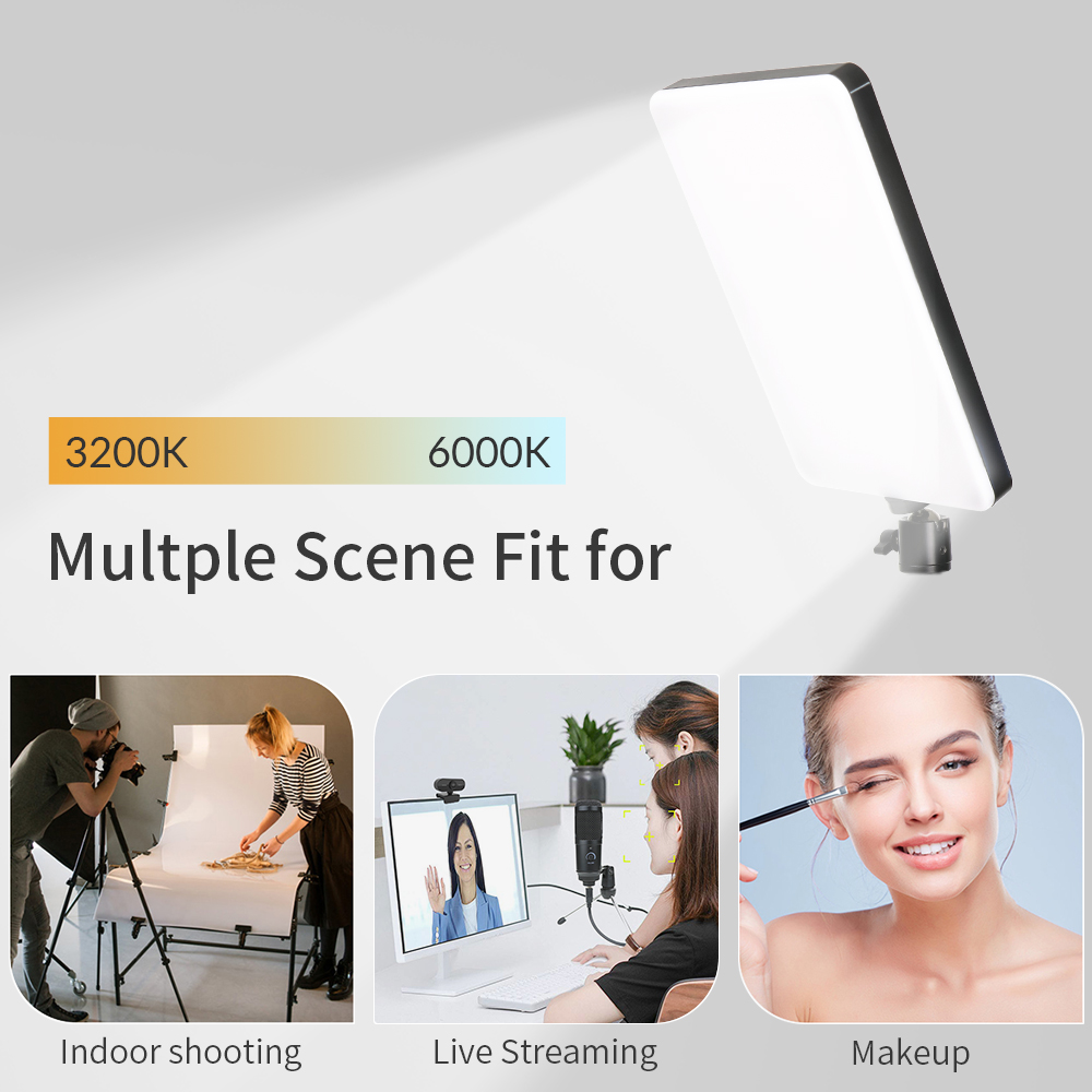 Dimm bares 10-Zoll-LED-Videoli – Photography Lighting Board Bewertung und Preis